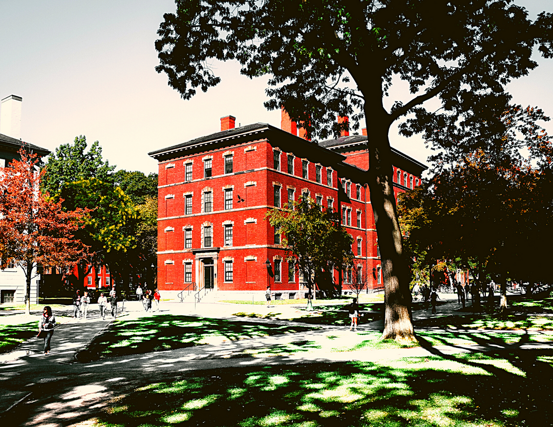 Community Snapshot: Sexual Assault Awareness Month