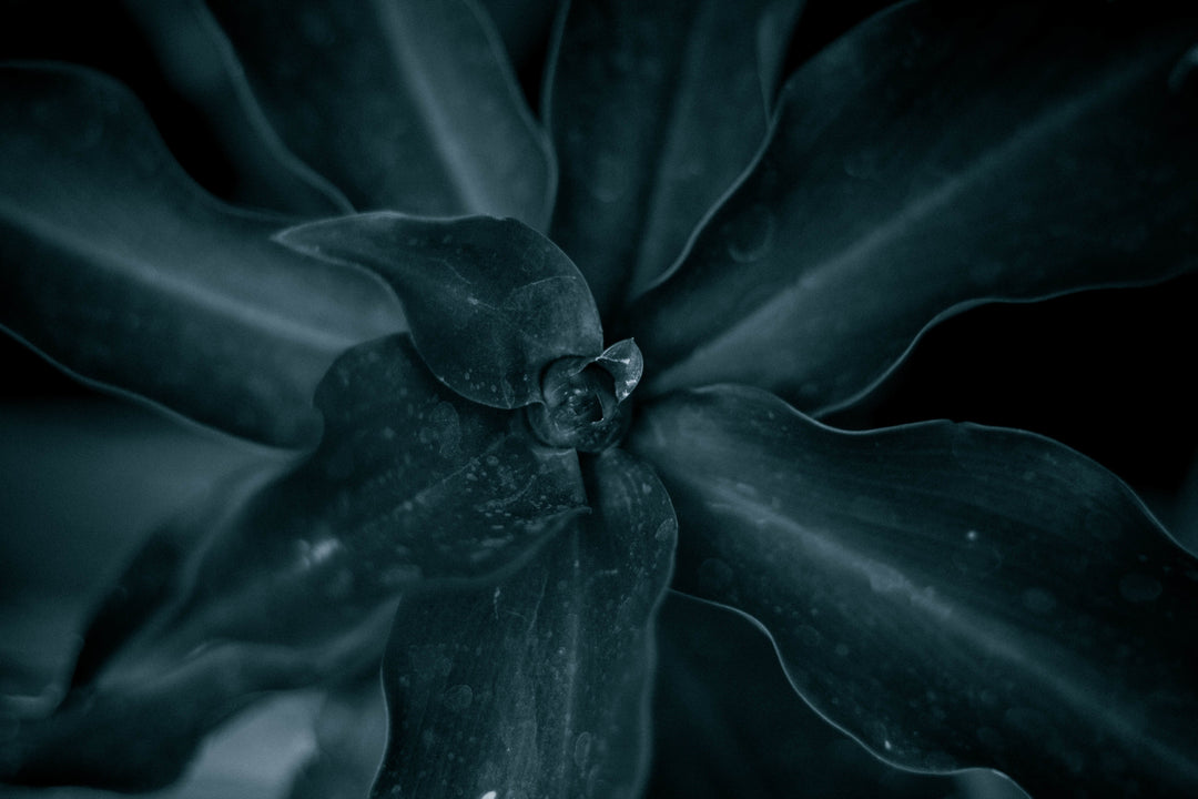 Being a Wellness Ally to My Autistic Sister