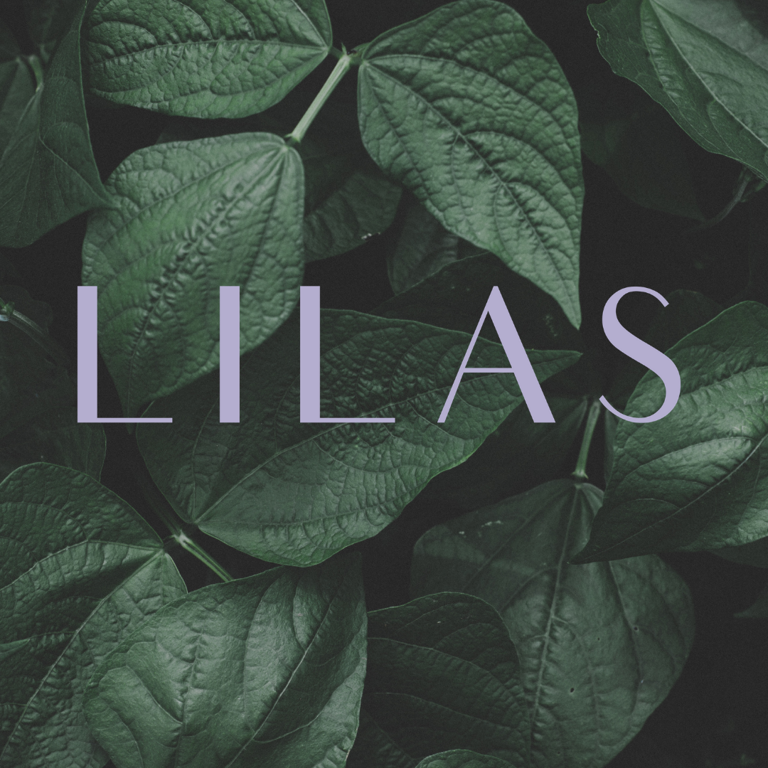 Meet the LILAS Fall 2020 Interns