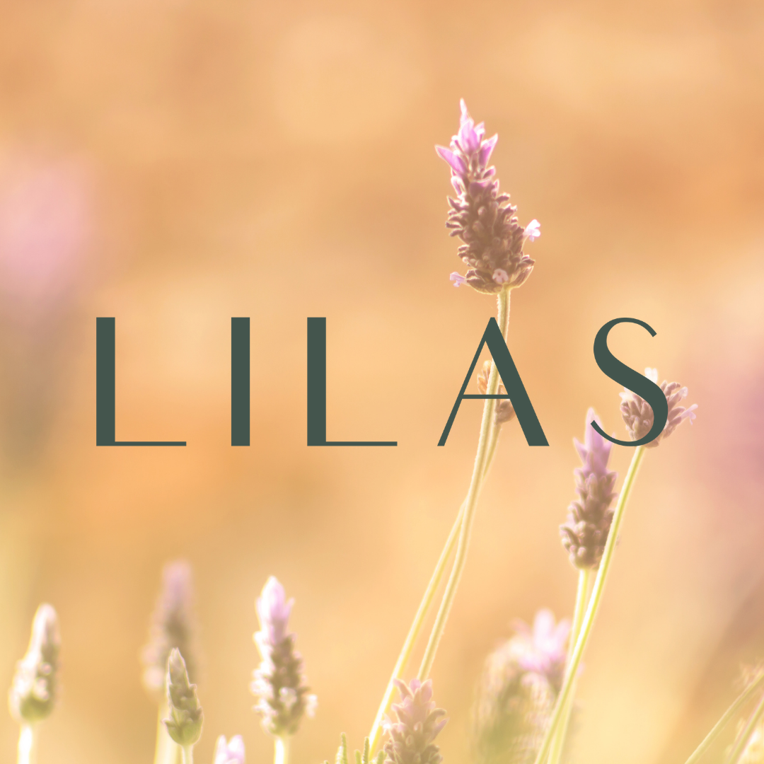 LILAS Wellness Summer Internship Reflections
