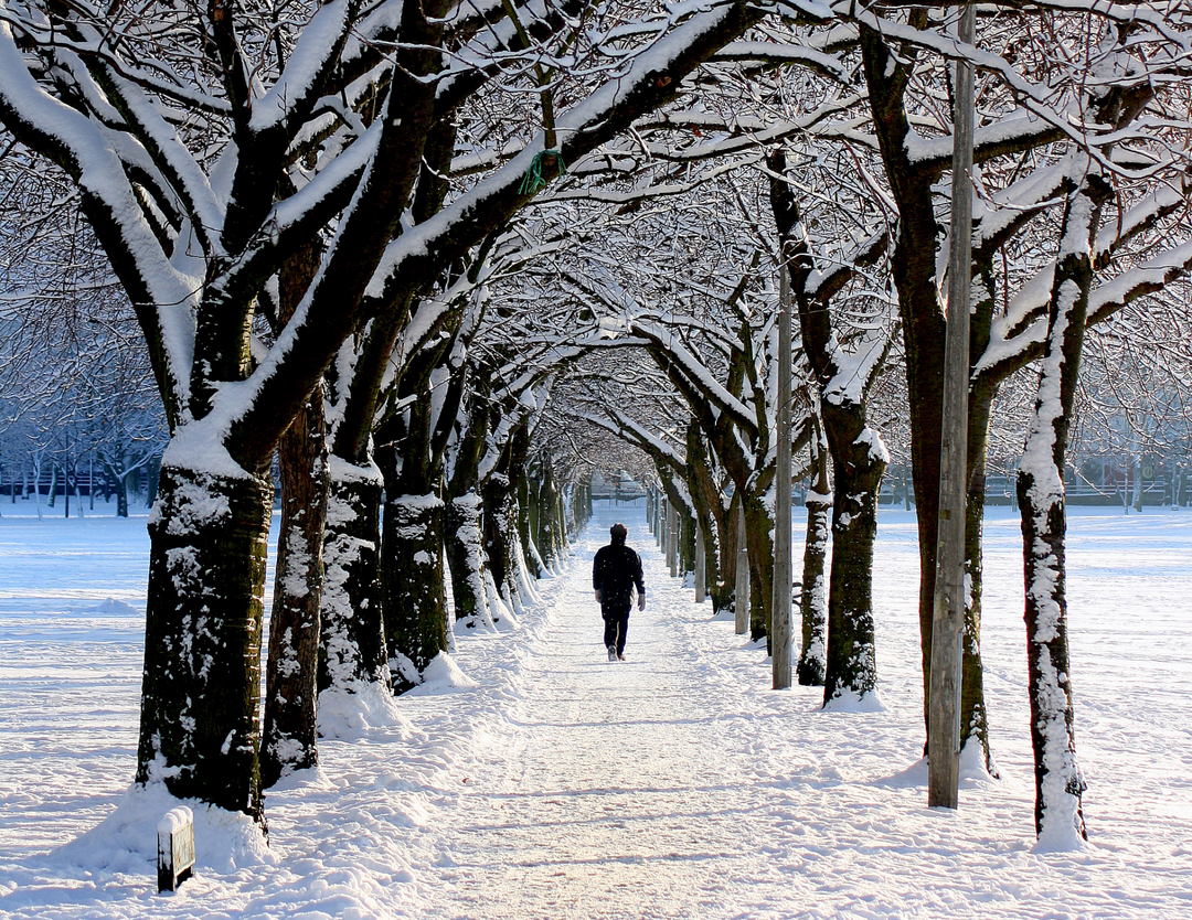 The Tea on Vitamin D in the Winter