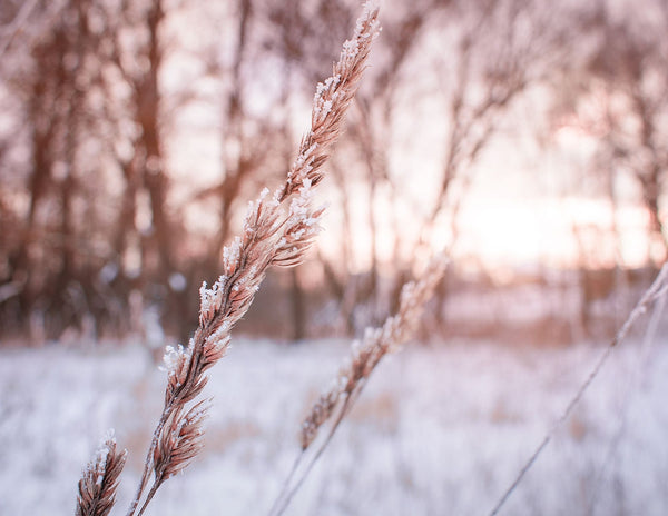 5 Tips for Healthier Skin in the Winter