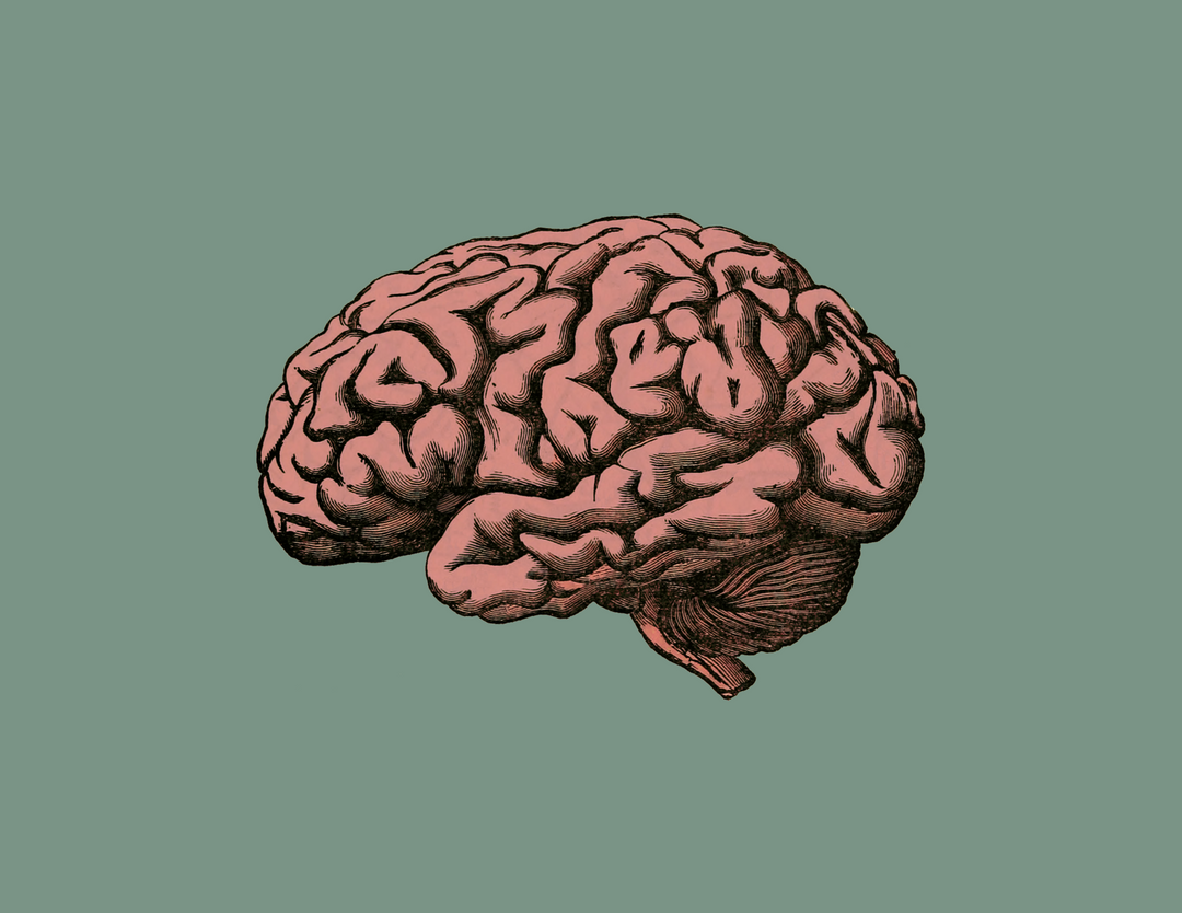 3 Reasons Why Women Need to Prioritize Their Brain Health  Now
